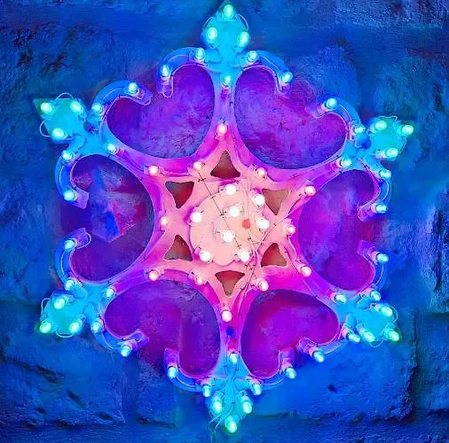 Loft AlbicoccaAlbergo